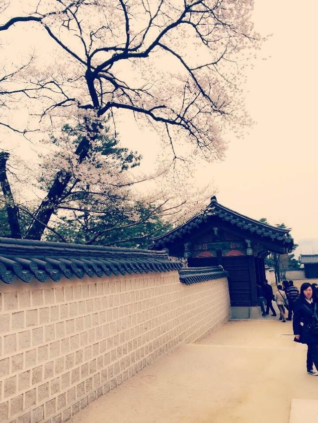 遇见大韩民国 - 韩国游记攻略【携程攻略】