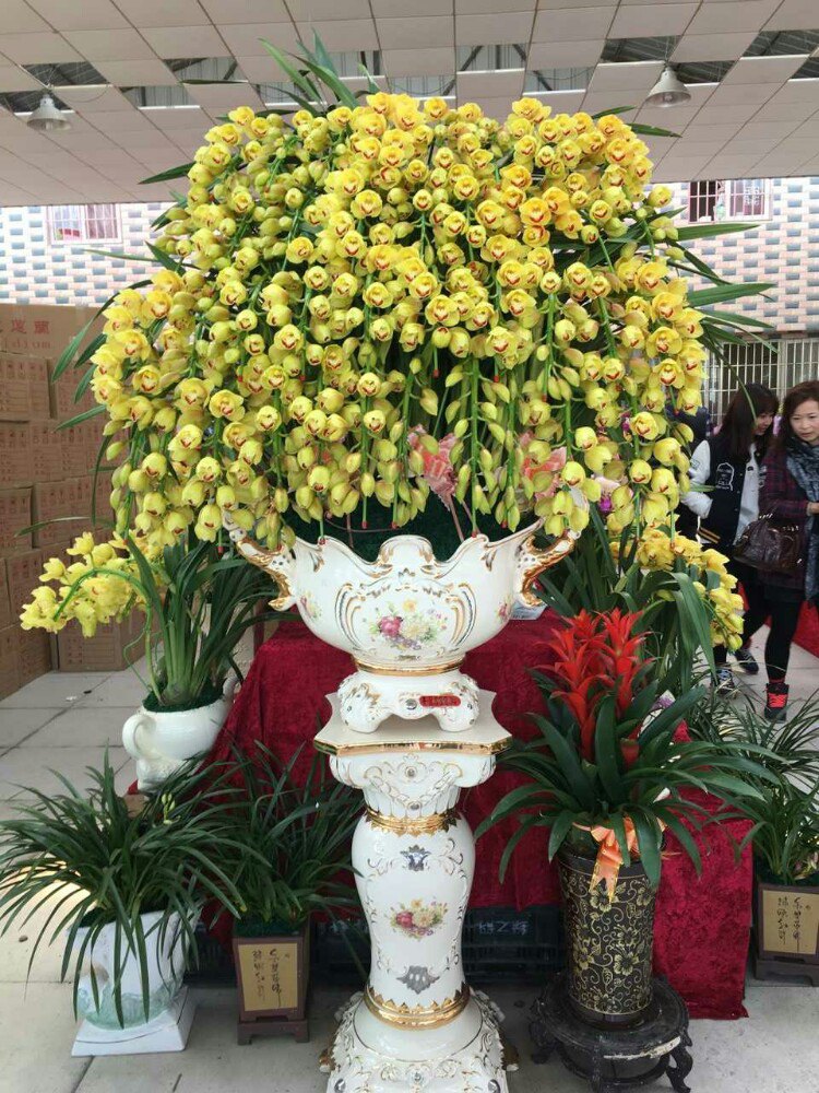 陈村国际花卉旅游文化节