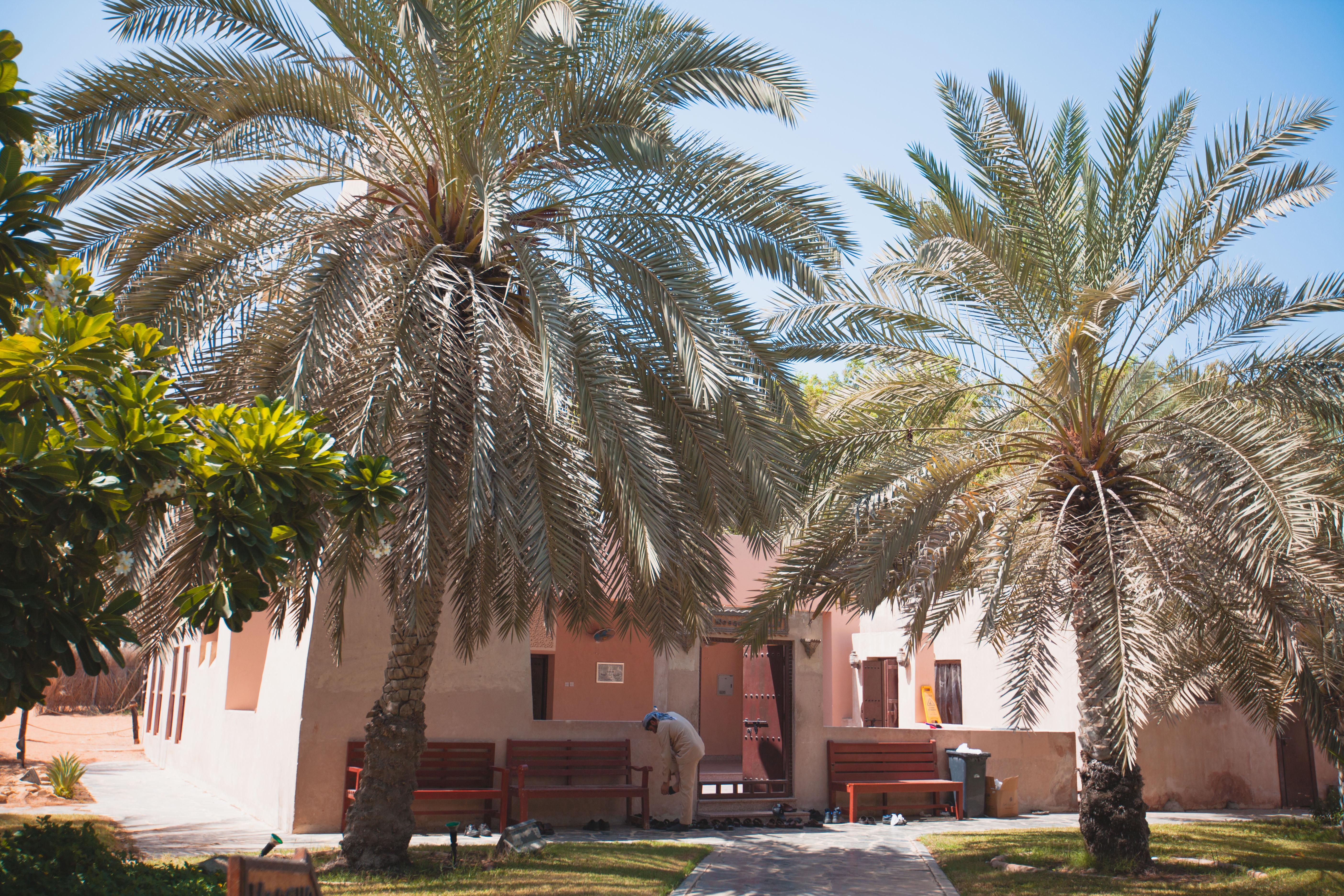 请问持有台湾籍护照可,迪拜旅游