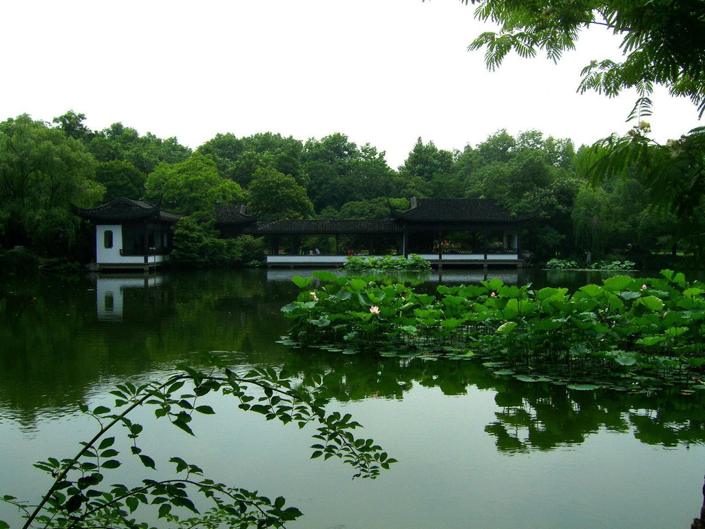 菰蒲无边水茫茫,荷花夜开风露香 渐见灯明出远寺,更待月黑看湖光.