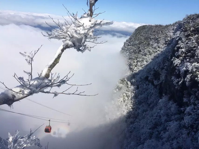 張家界天門山下雪啦~霧凇~雲海~冬日陽光