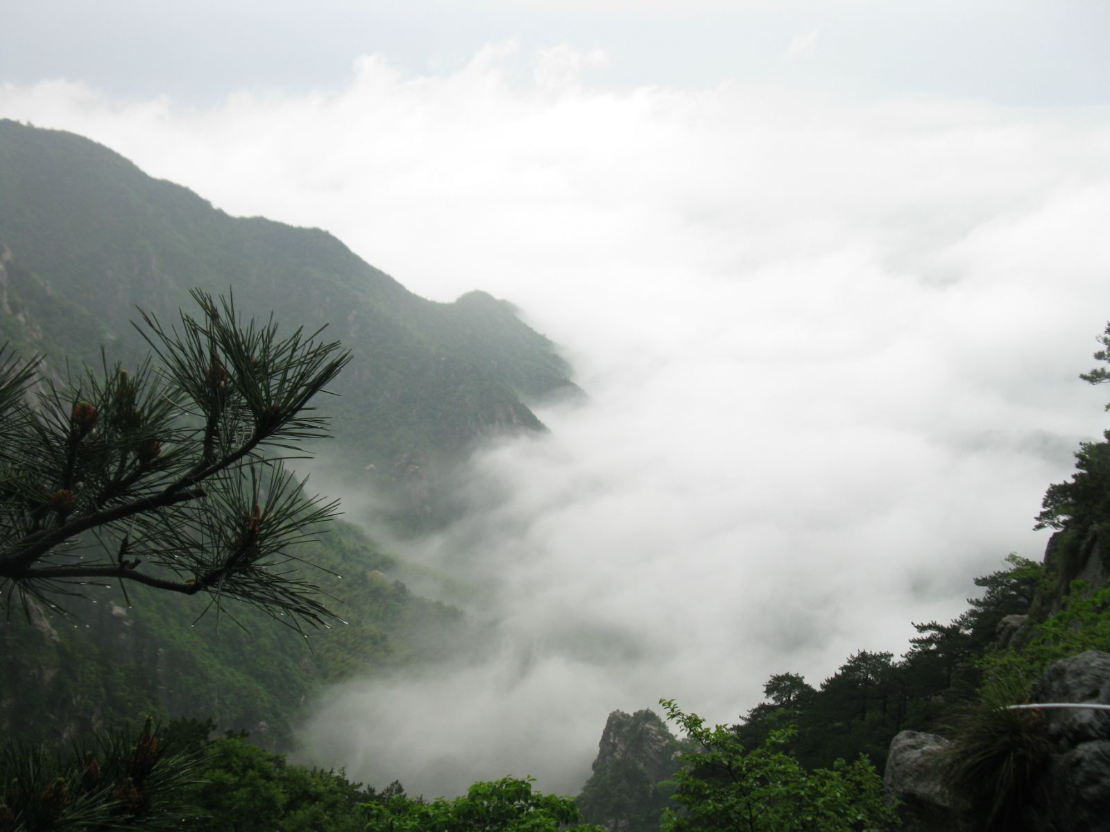 一山飞峙大江边—登庐山