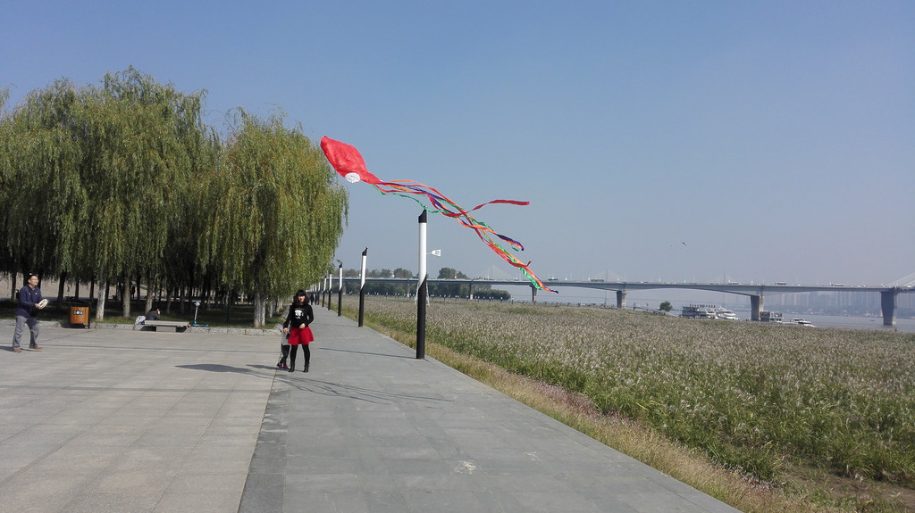 我的2015#武汉秋色哪里浓,汉口江滩芦荻滩