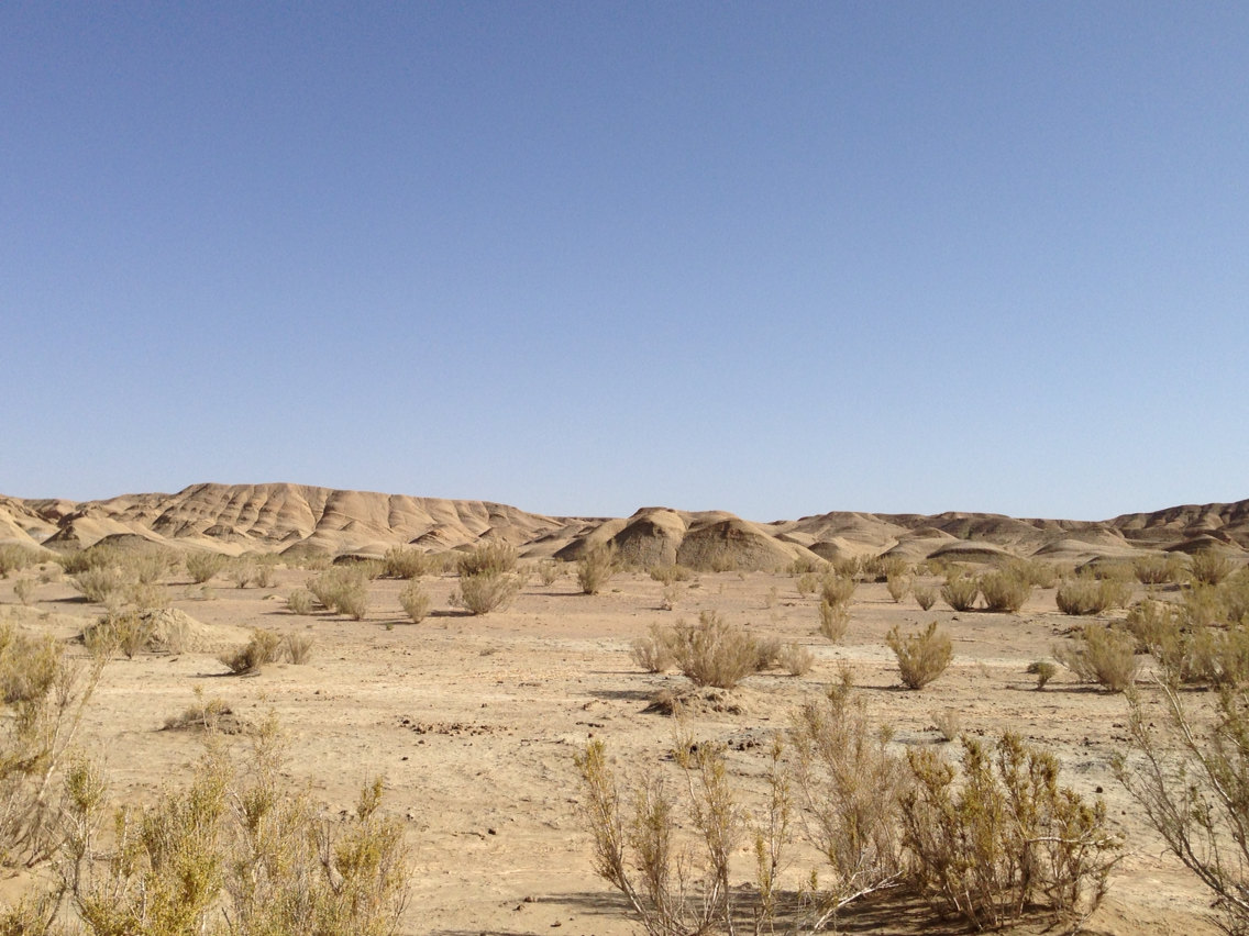 越往西走越发荒芜,笔直公路的两旁往往一望无际寸草不生