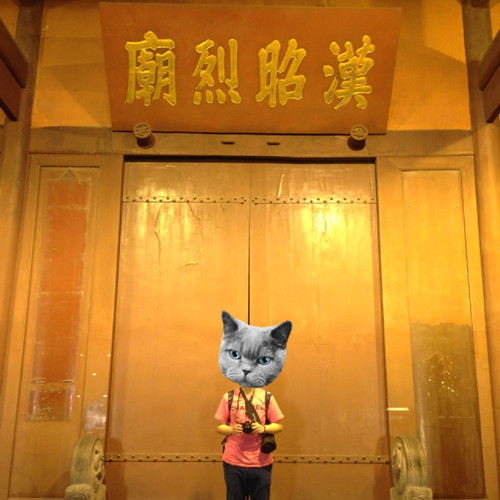 单人厦门成都九寨沟黄龙10日穷游深度游吃住