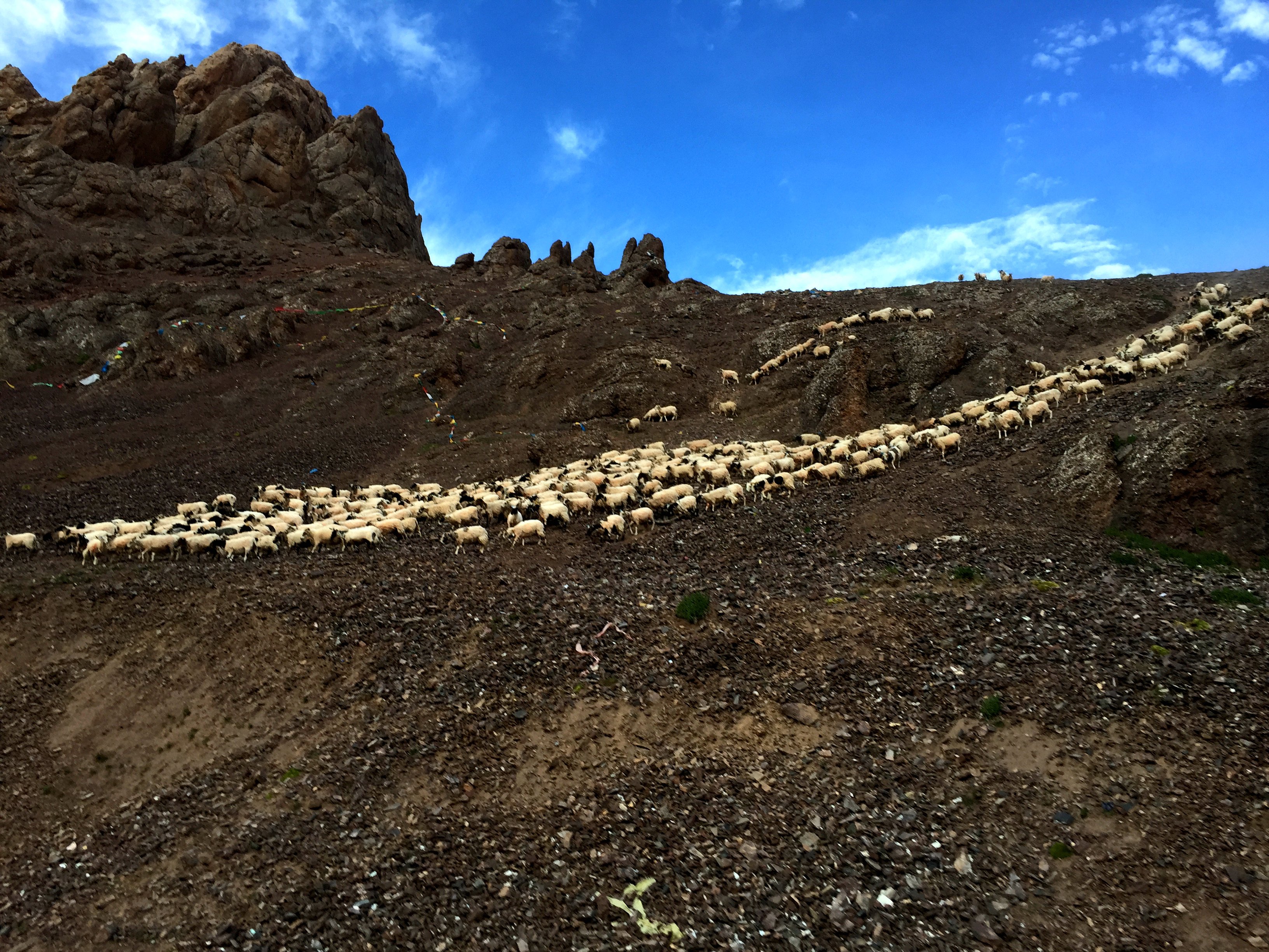 西游记--神圣的西藏(林芝,拉萨,山南,日喀则和纳木错之旅)