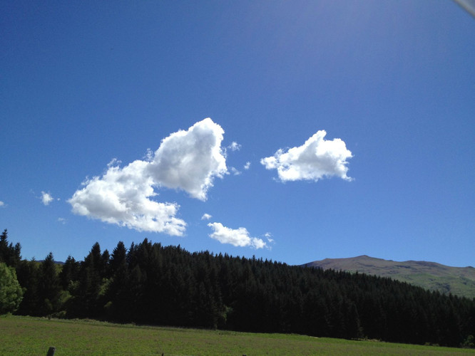 莫莫西西游南岛--新西兰 - 基督城游记攻略【携