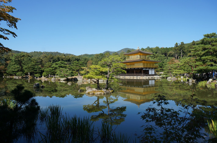 关西逛到北海道、一个人对话的15日 - 东京游记
