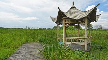 下渚湖 (22)
