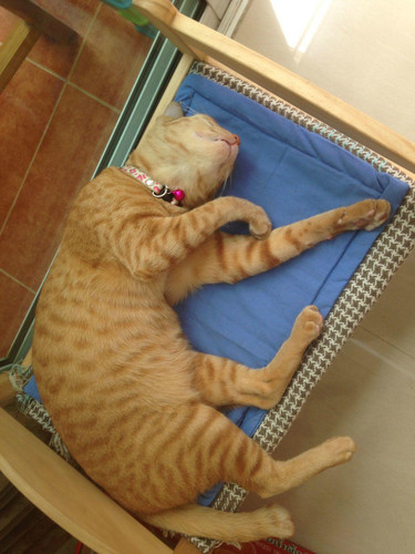 泰然处之三部曲-清迈(1)