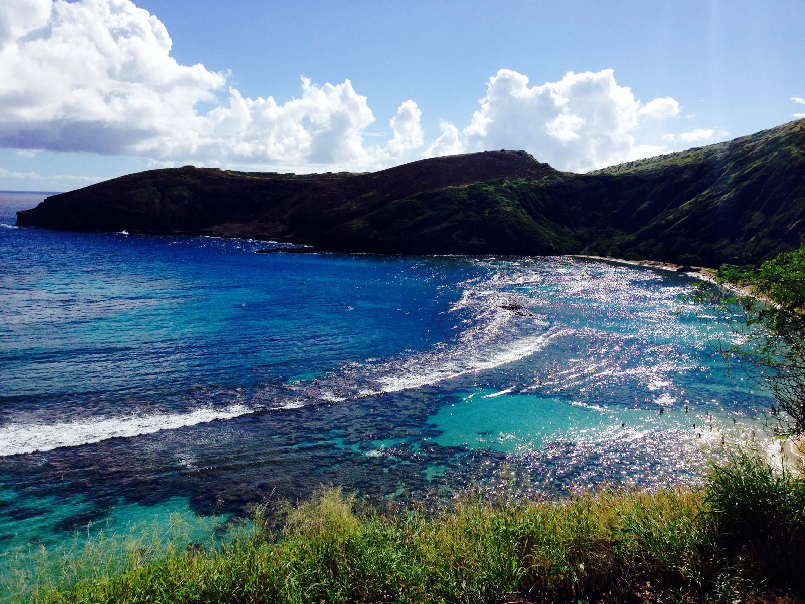 恐龙湾(hanauma bay) 恐龙湾