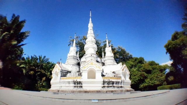 骚哆哩在金版纳