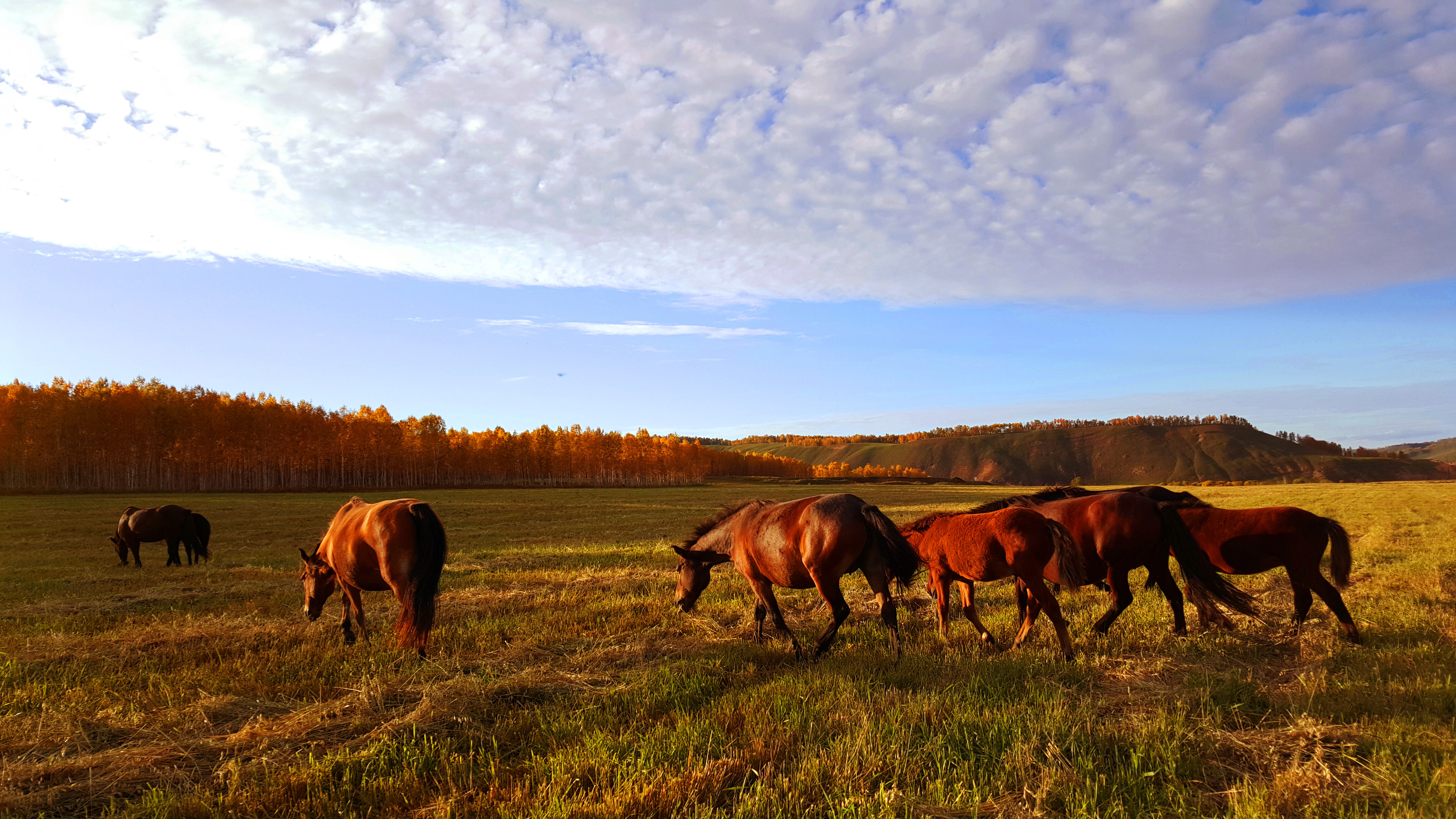 棉花糖一般的云层! 黑山头