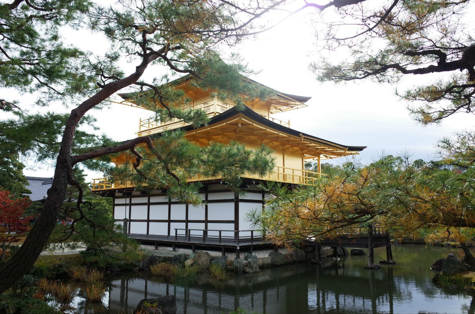 不让进,大家都是远远地拍个照,庭院是典型的筑山回游式庭园 金阁寺