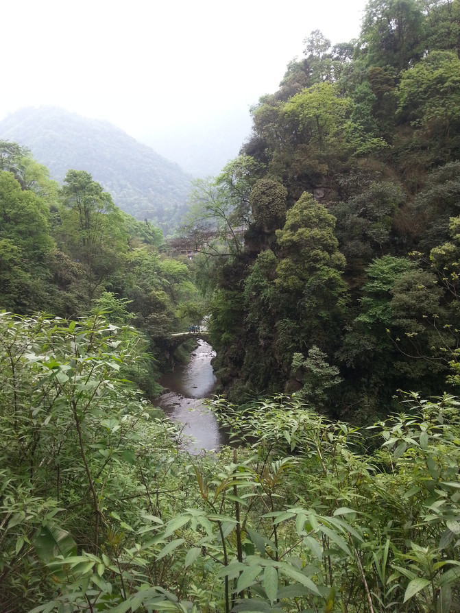 成都5天4晚一天游玩乐山和峨眉山 - 成都游记攻