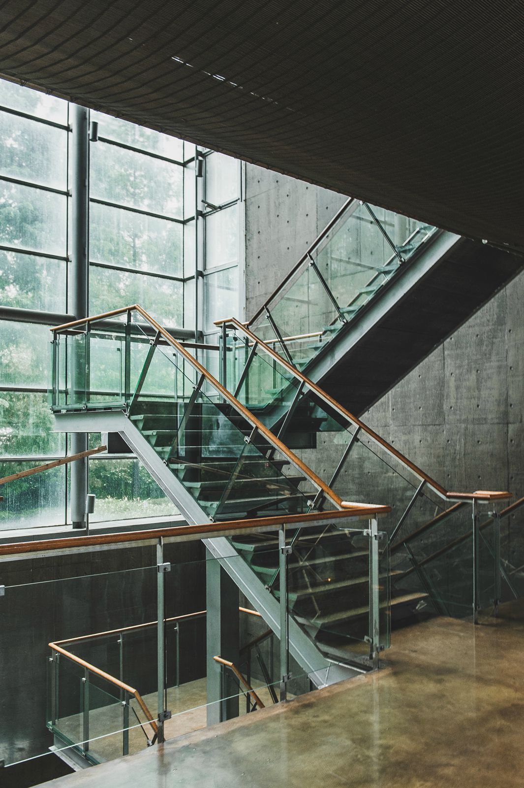 上海· 你的眼睛是绿色的鱼