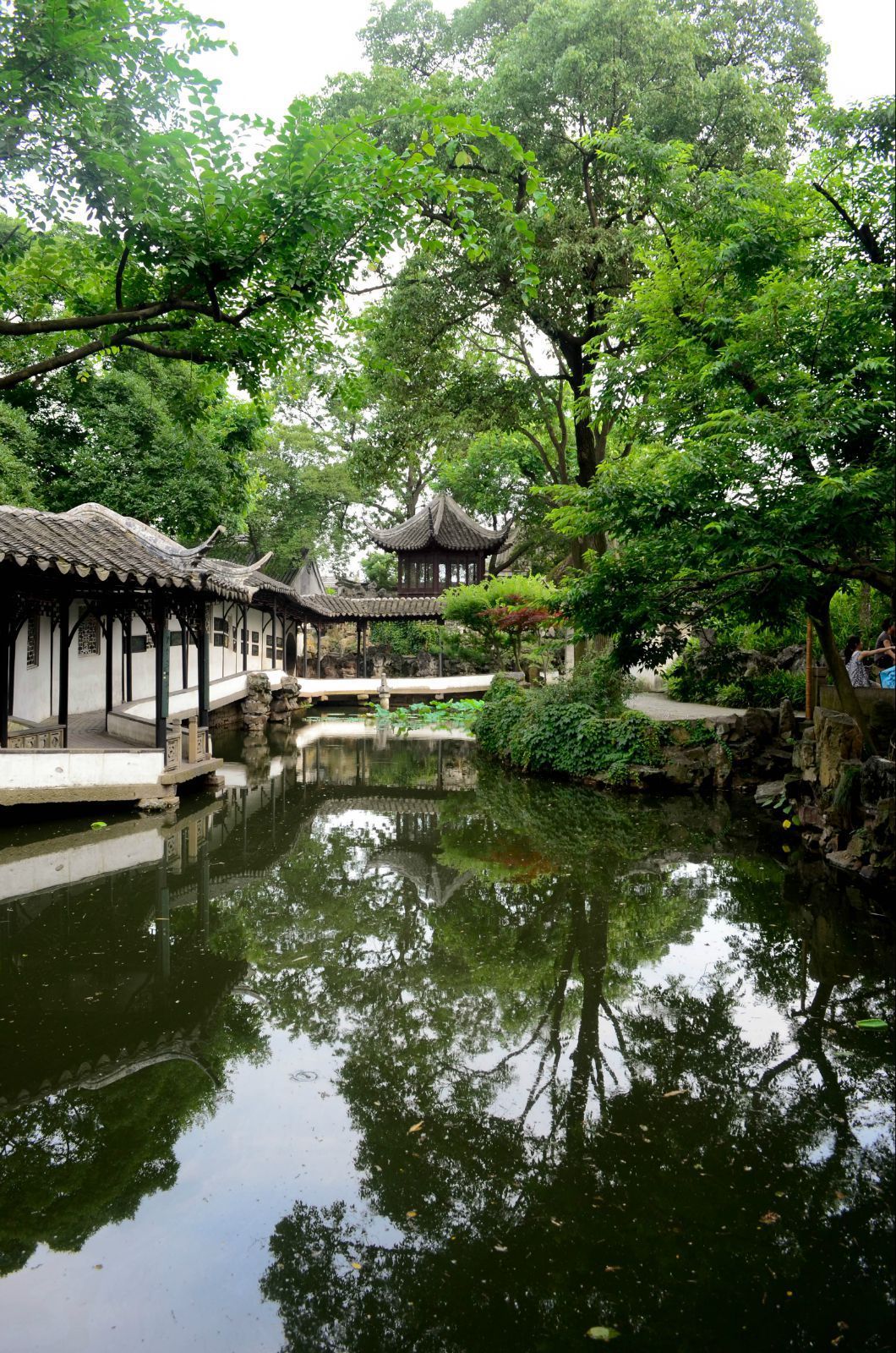 倒影亭望出去的风景很美 拙政园