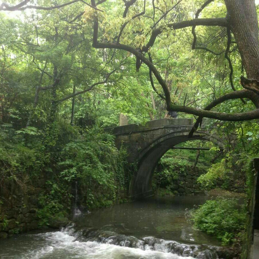 浙江 杭州 白樂橋 九溪龍井村 西湖