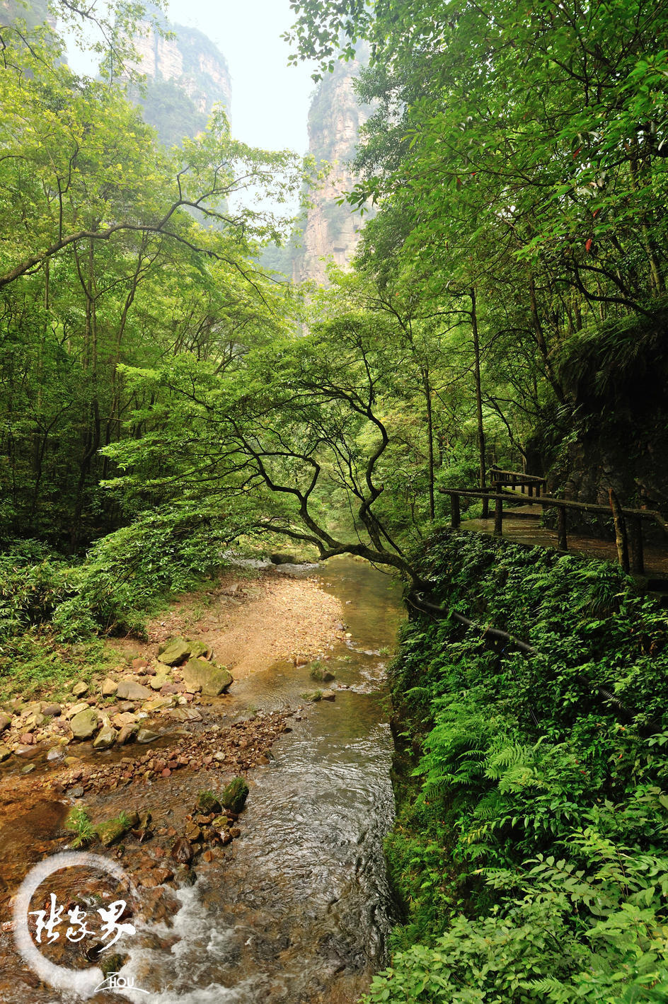 金鞭溪大峡谷 携程网