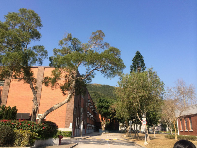 补新年HK清水湾暴走 - 香港游记攻略