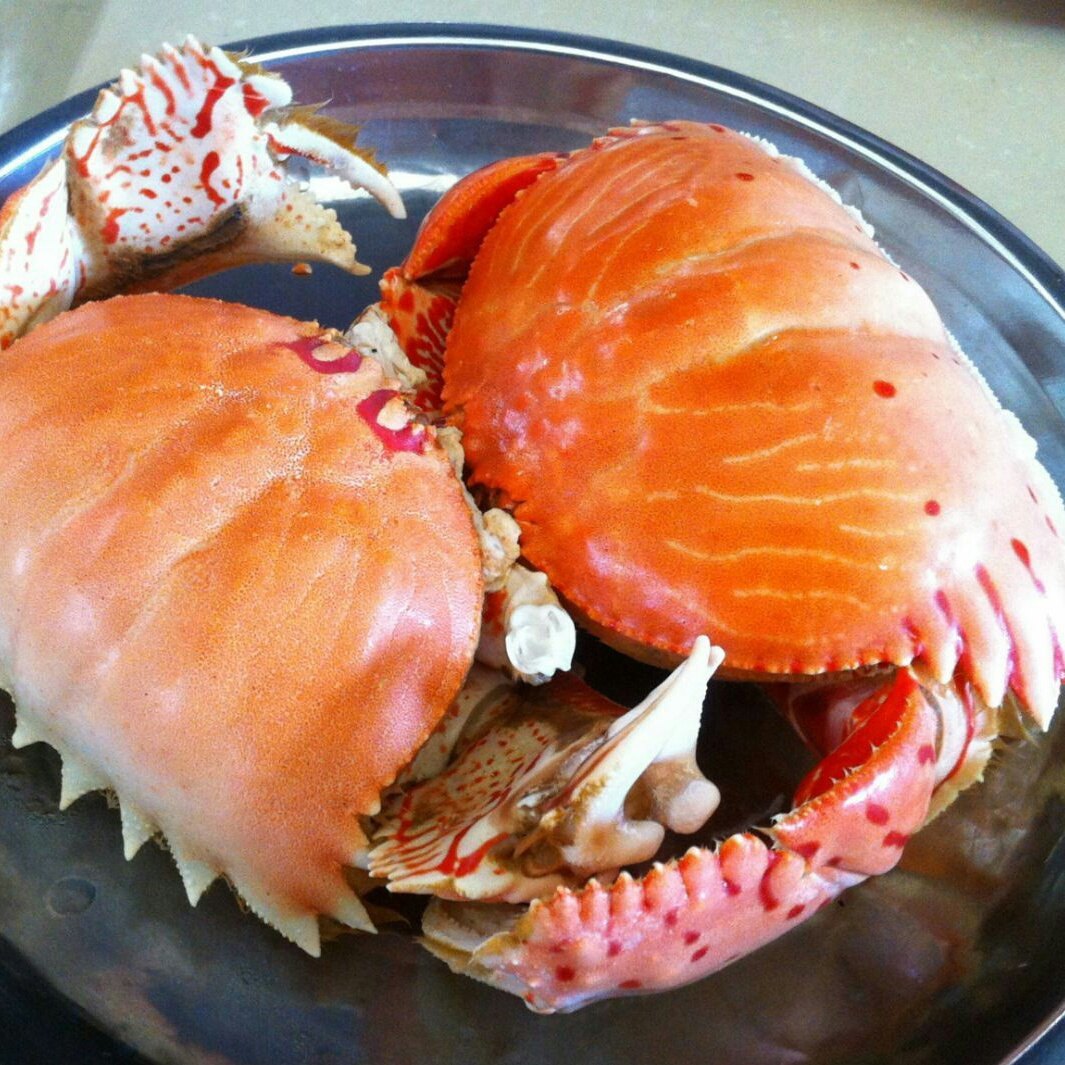 三亚螃蟹种类图片