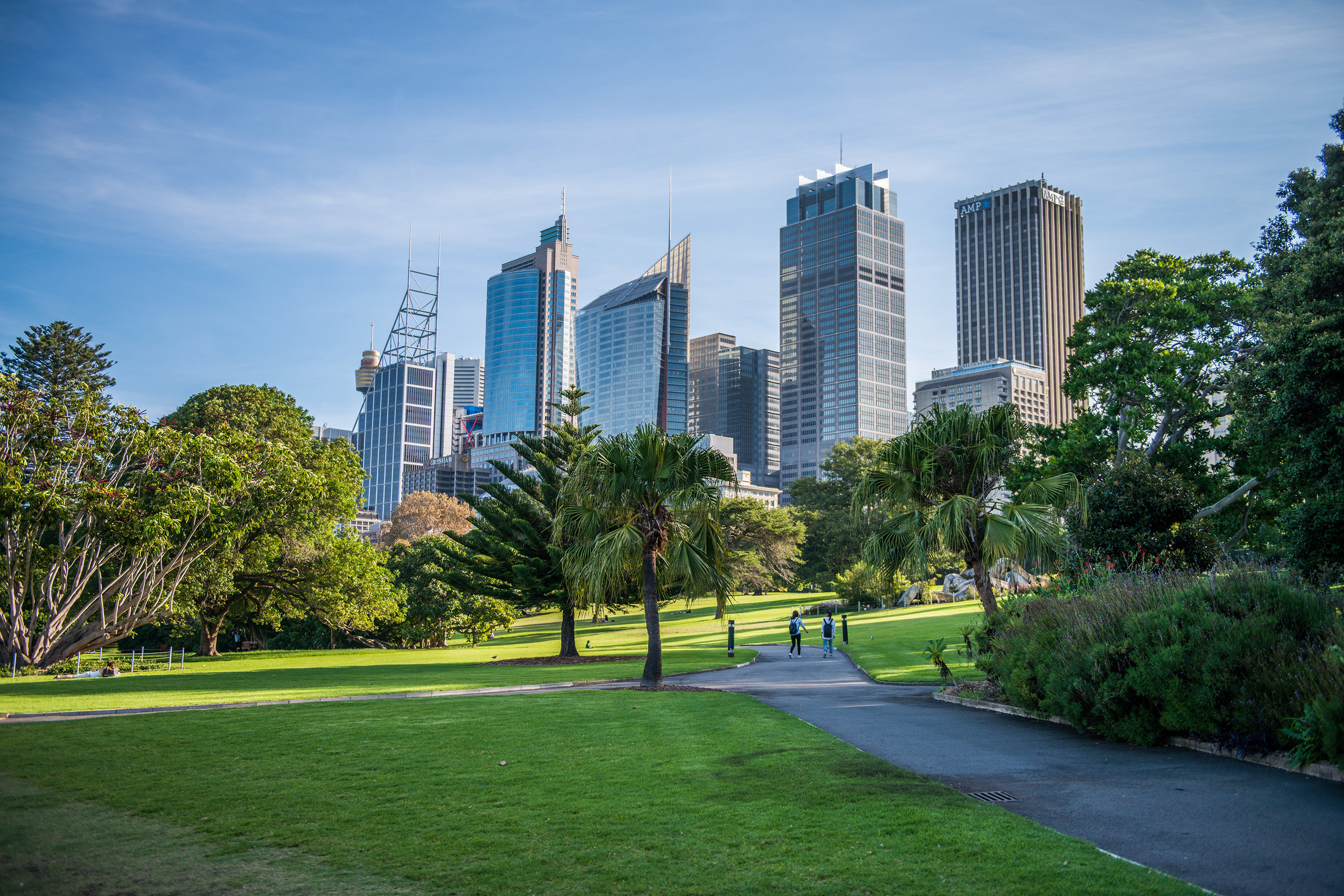 蓝天白云绿地！悉尼皇家植物园我的2020后花园_百科TA说