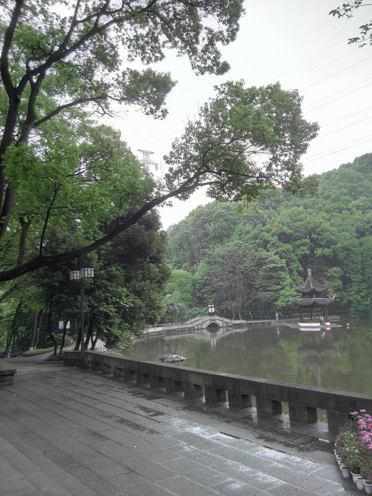 瀘州忠山公園