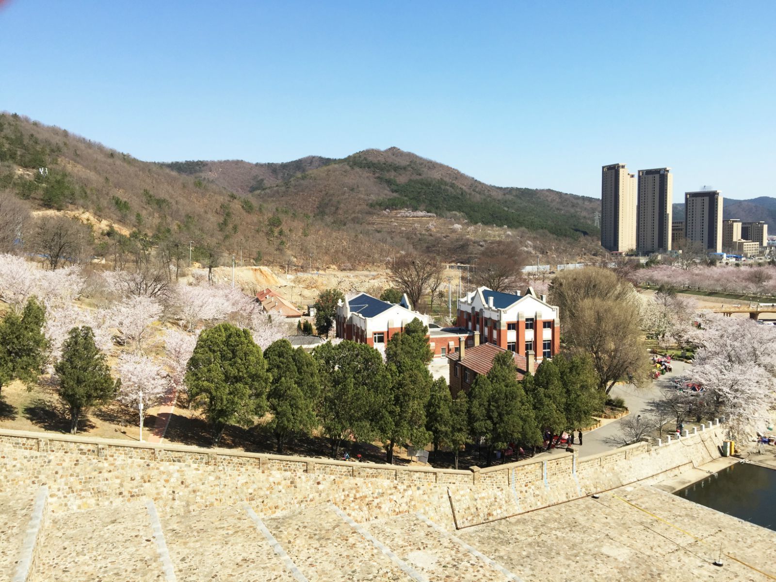 龍王塘櫻花園,大連