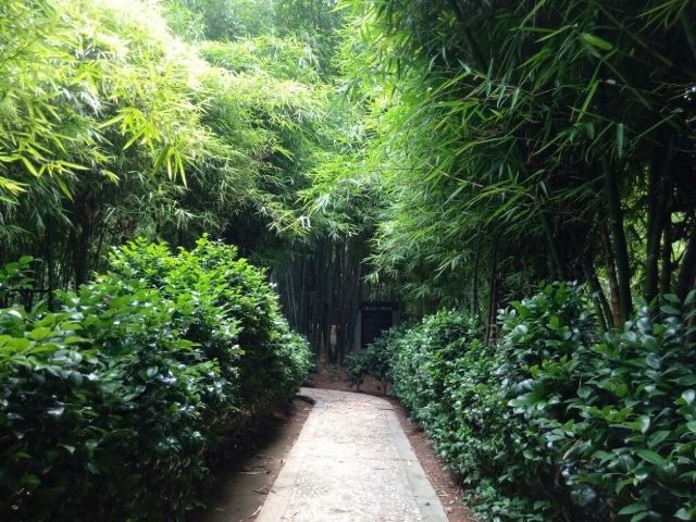 西樵山祈福之行