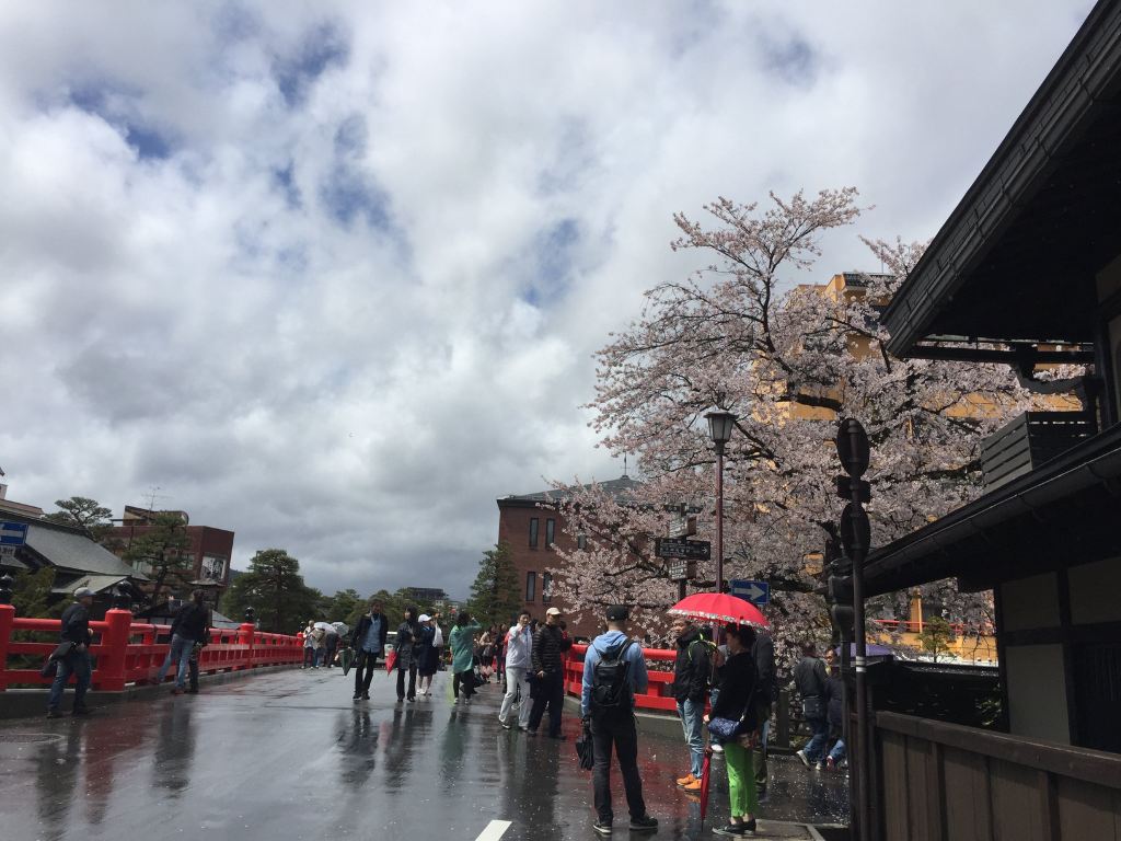 自駕遊世界之日本中部名古屋-下呂-高山-上高地-松本-富士山 5日櫻花