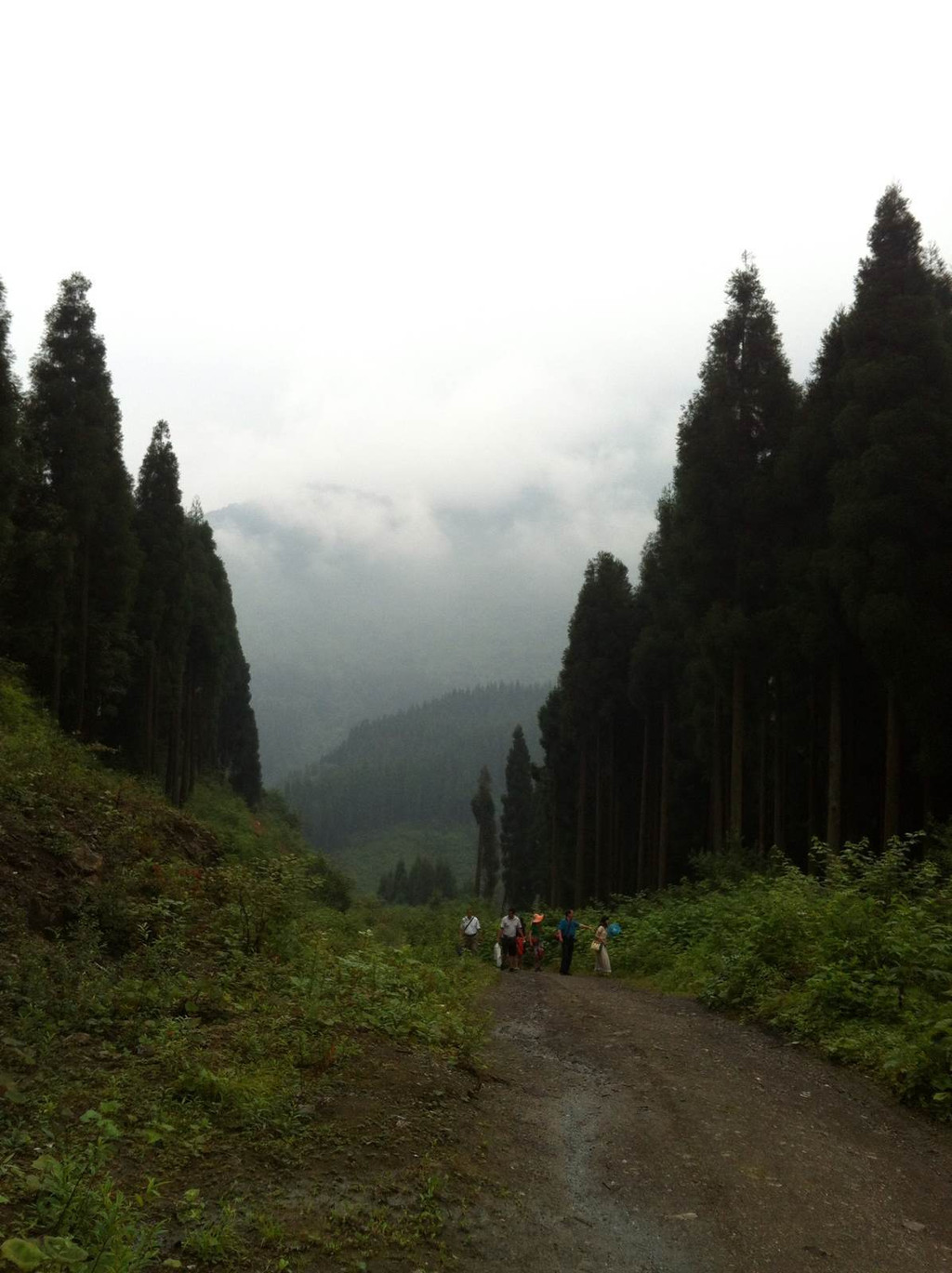 崇州雞冠山半途遊