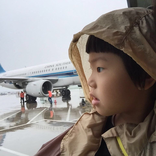 2016~雨宝的成长历程(广州长隆难忘之旅) - 番