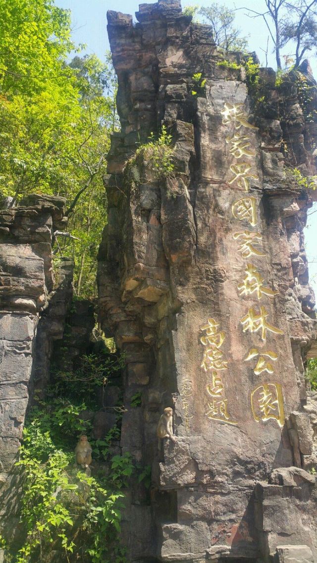 他發現了張家界,讓這裡養在深閨人未識的絕世美景能夠展現在眾人面前