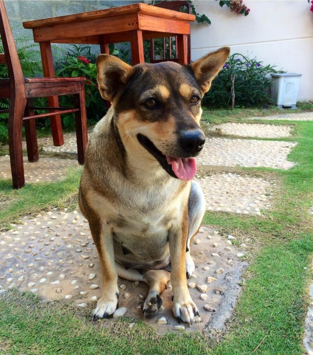 越走越南@越美丽