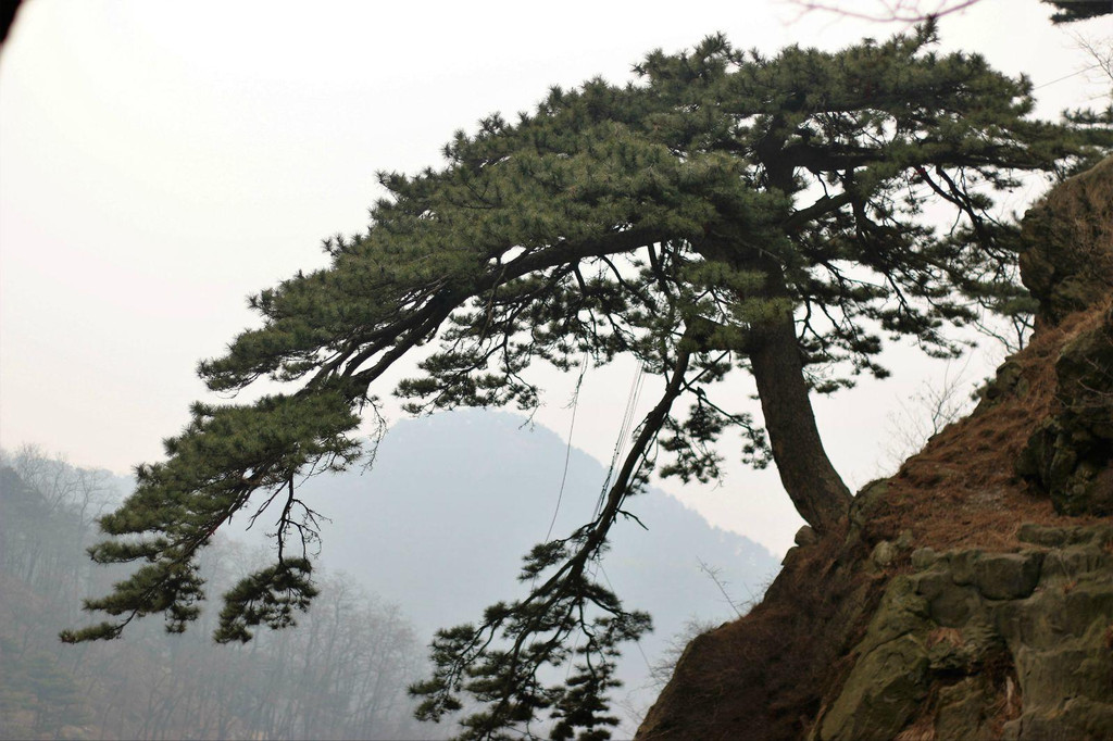 曲阜,泰山#是學習,也是旅行