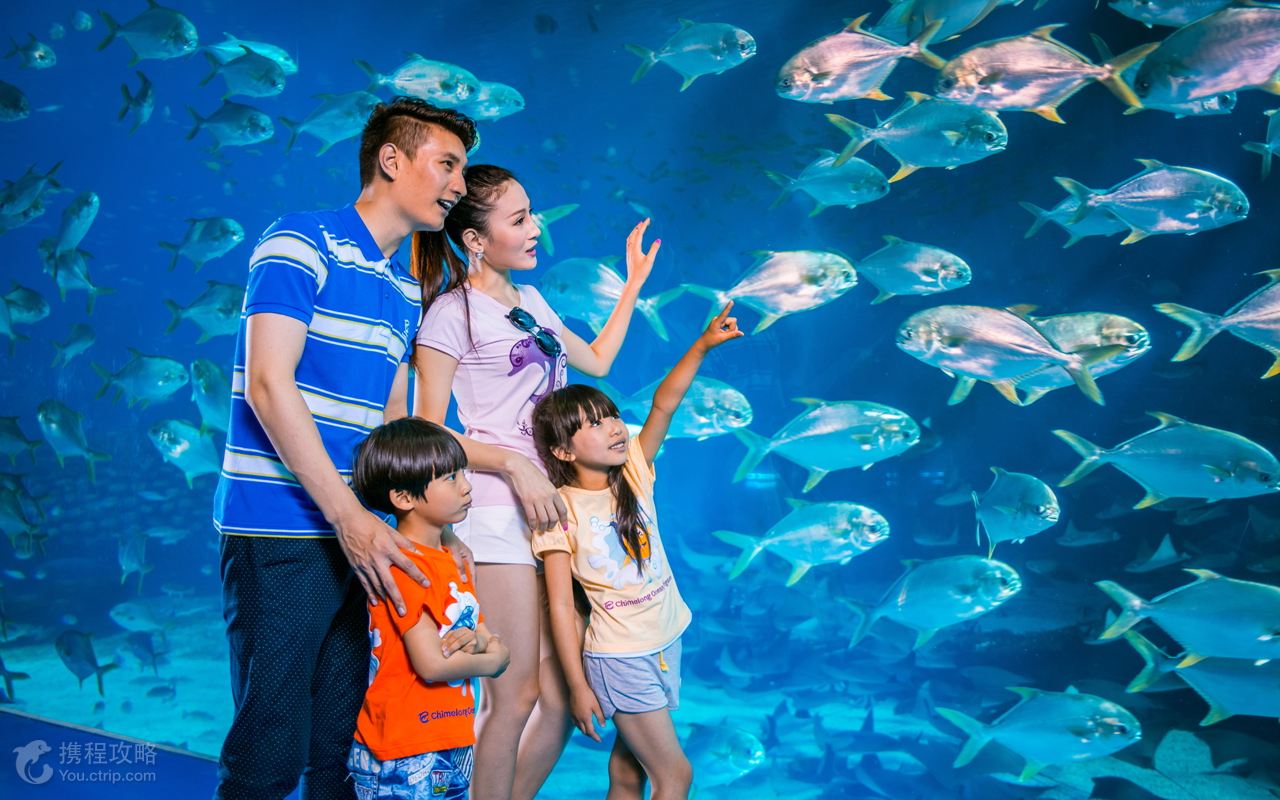 乐园游·珠海2日1晚跟团游(3钻)·海洋王国 中山果园 赠送烟花焕彩