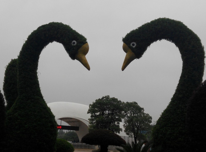 南昌动物园一天游玩 - 南昌游记攻略【携程攻略