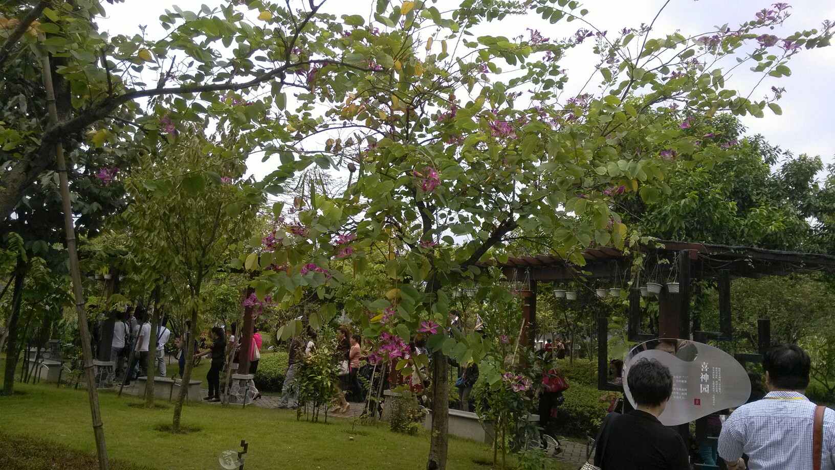 魅力廣州無限極中藥植物園