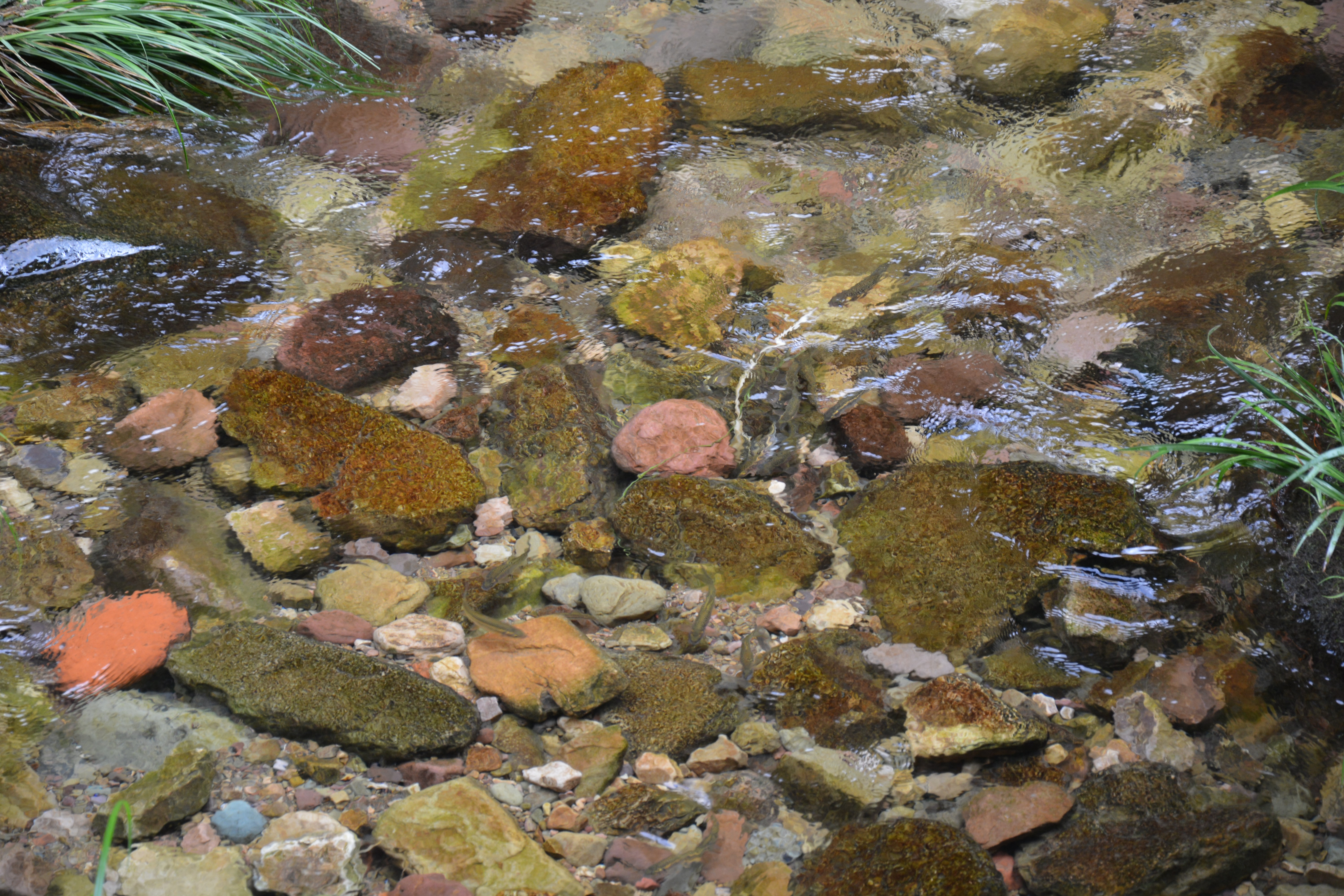 火辣辣的湘情-2014湖南张家界,长沙之足迹