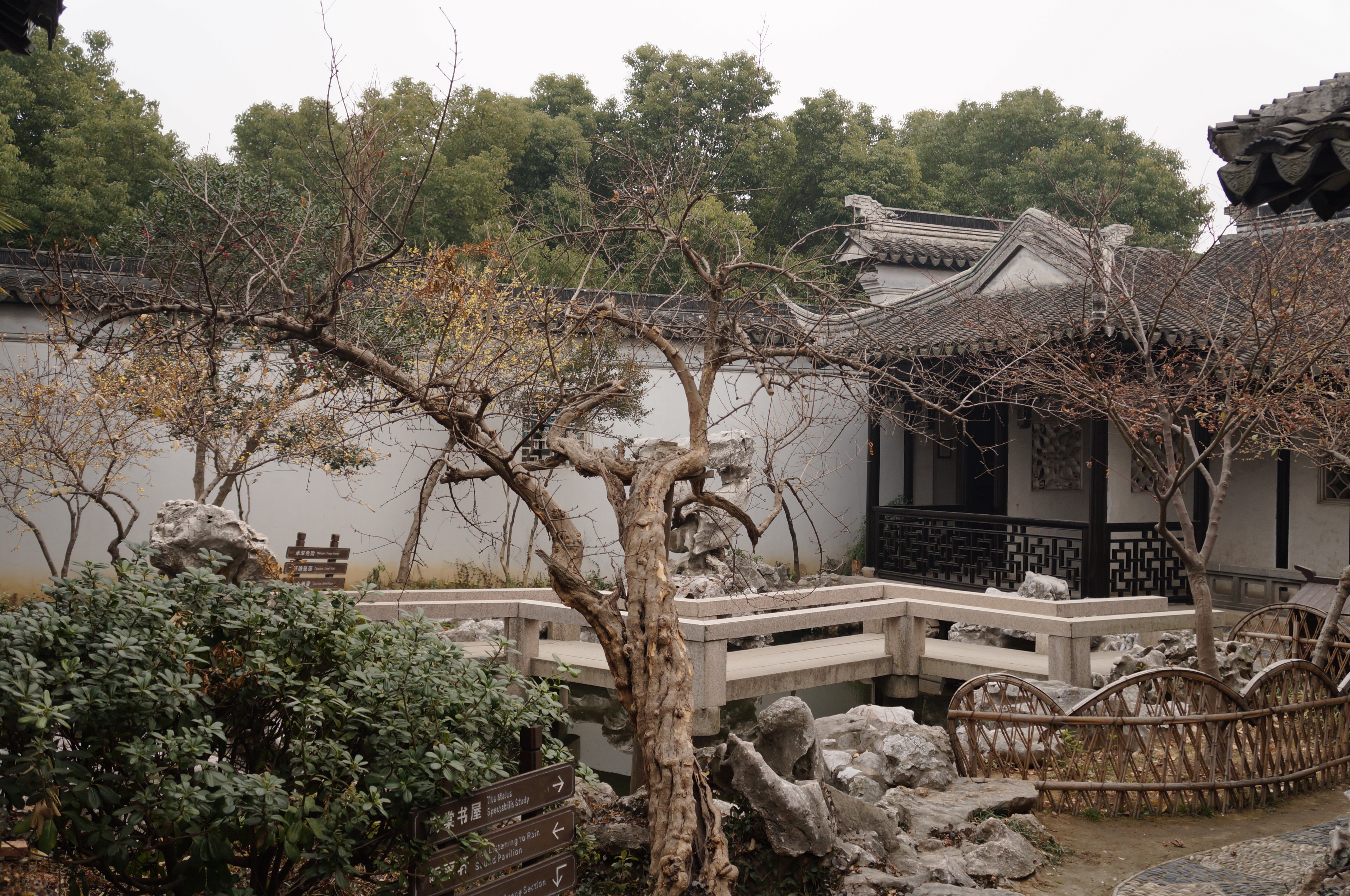 還是冬景 嚴家花園