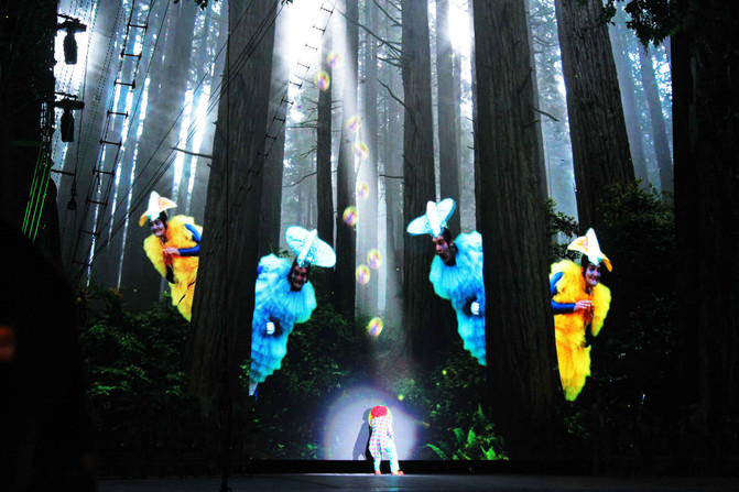 广州长隆野生动物园和大马戏:感受人与动物的