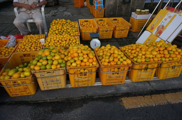 韩国之旅(七天暴走泡菜国)——美丽的济州岛 首尔