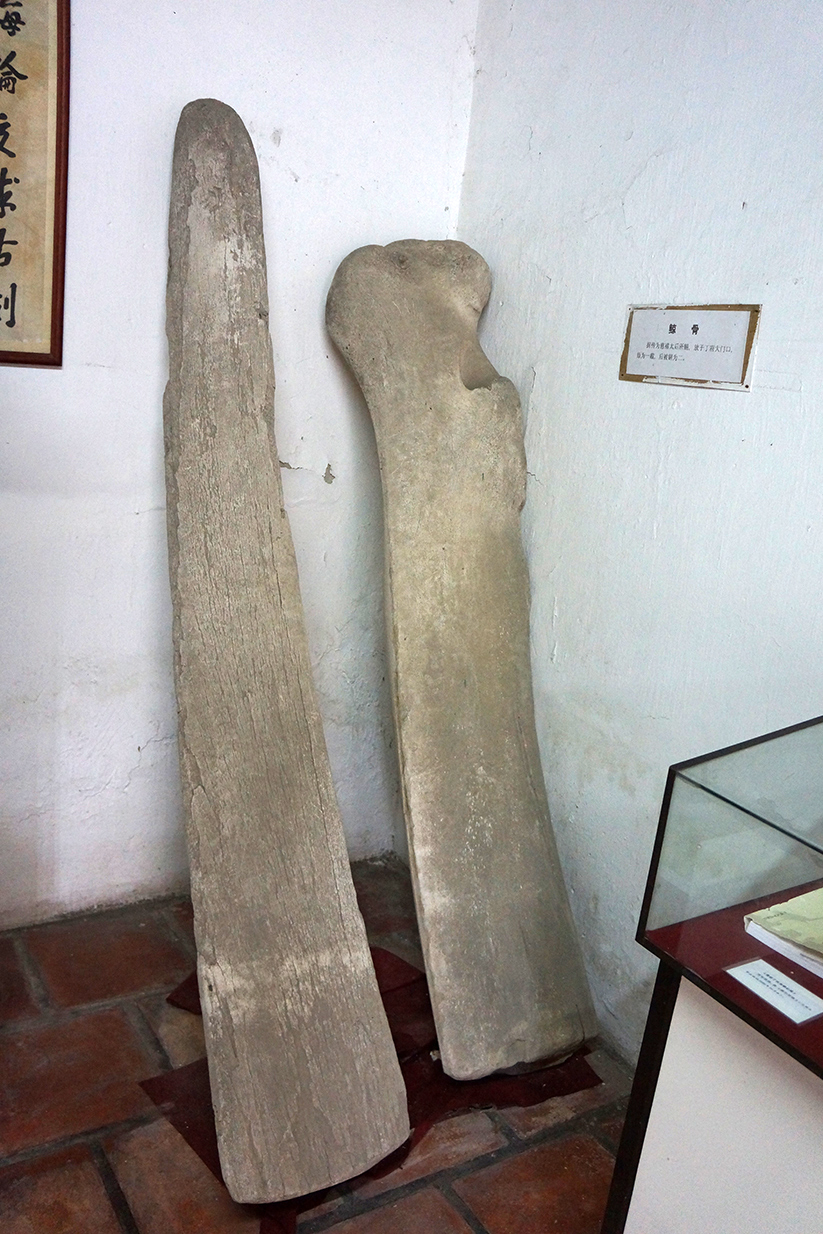 暴走揭阳——广东福建7日自由行(一)