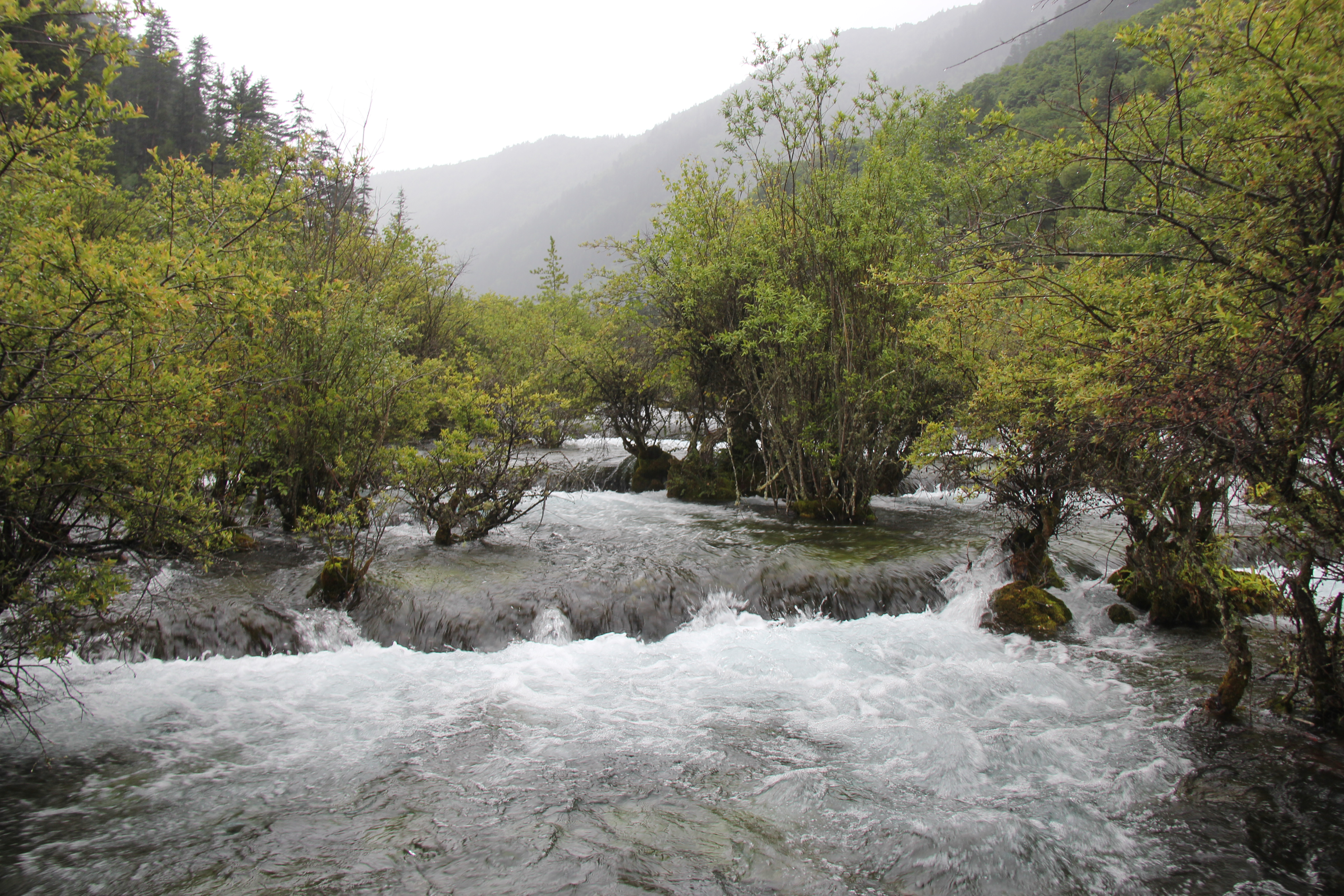 树正沟--树正群海 树正沟