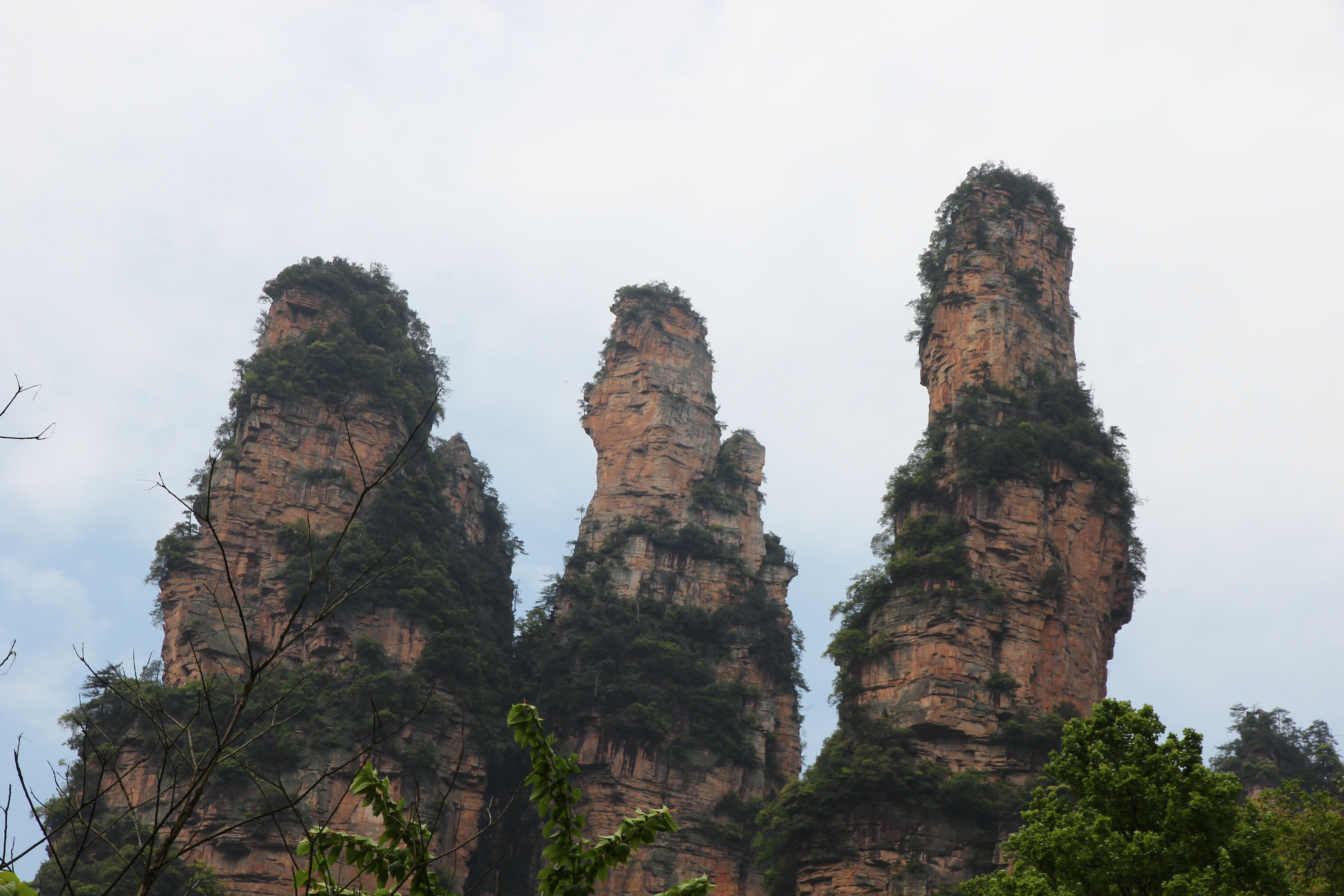 袁家界 天子山