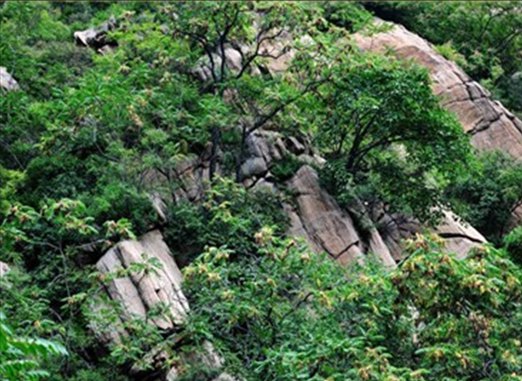 秋山风景区