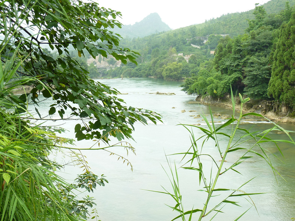 山間清澈的河水,在陰雨天別有風味