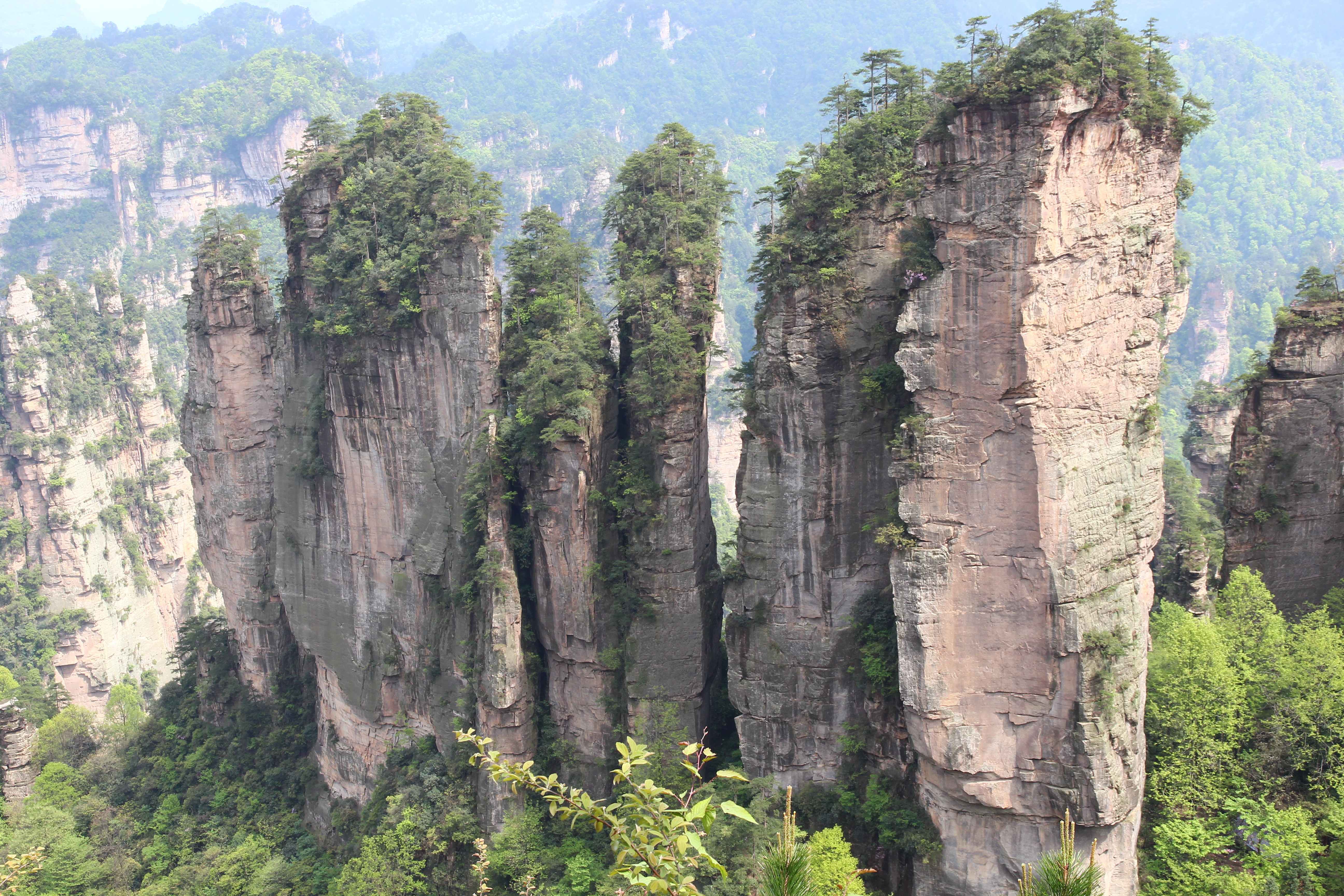 惟妙惟肖的五指峰 张家界国家森林公园
