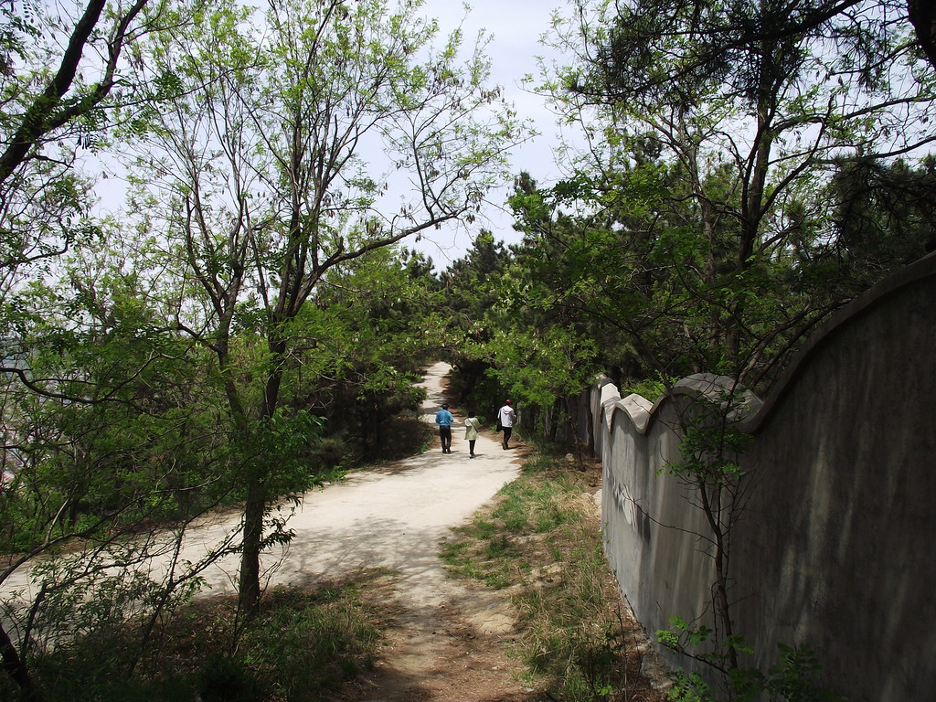 隨手拍!煙臺南山公園.