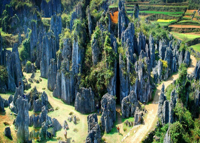 思南石林旅游区